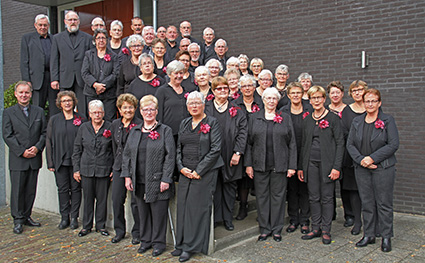 Koorfoto Laudate Vocalis Borger okt 2016klein